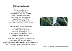 Schneeglöckchen-Gedicht-Foto.pdf